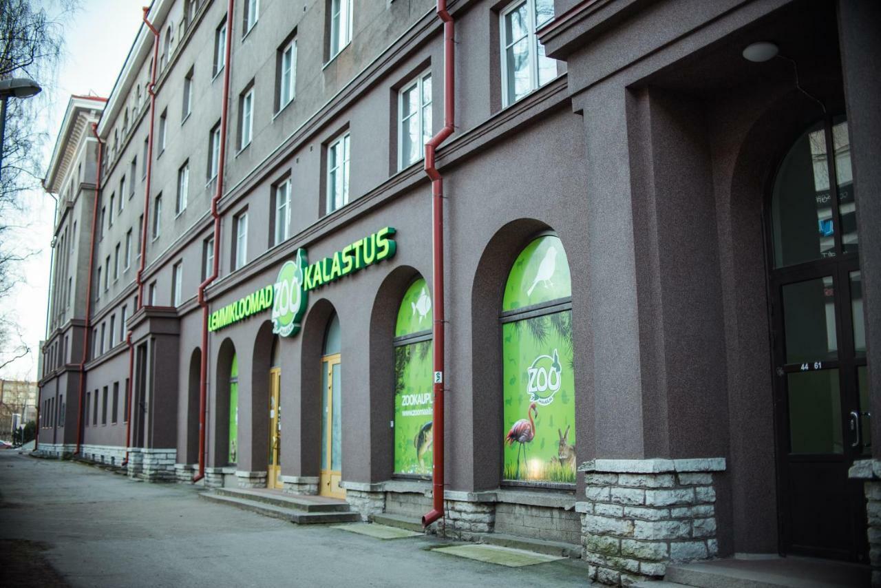 Apartamento Large Studio Downtown Tallin Exterior foto